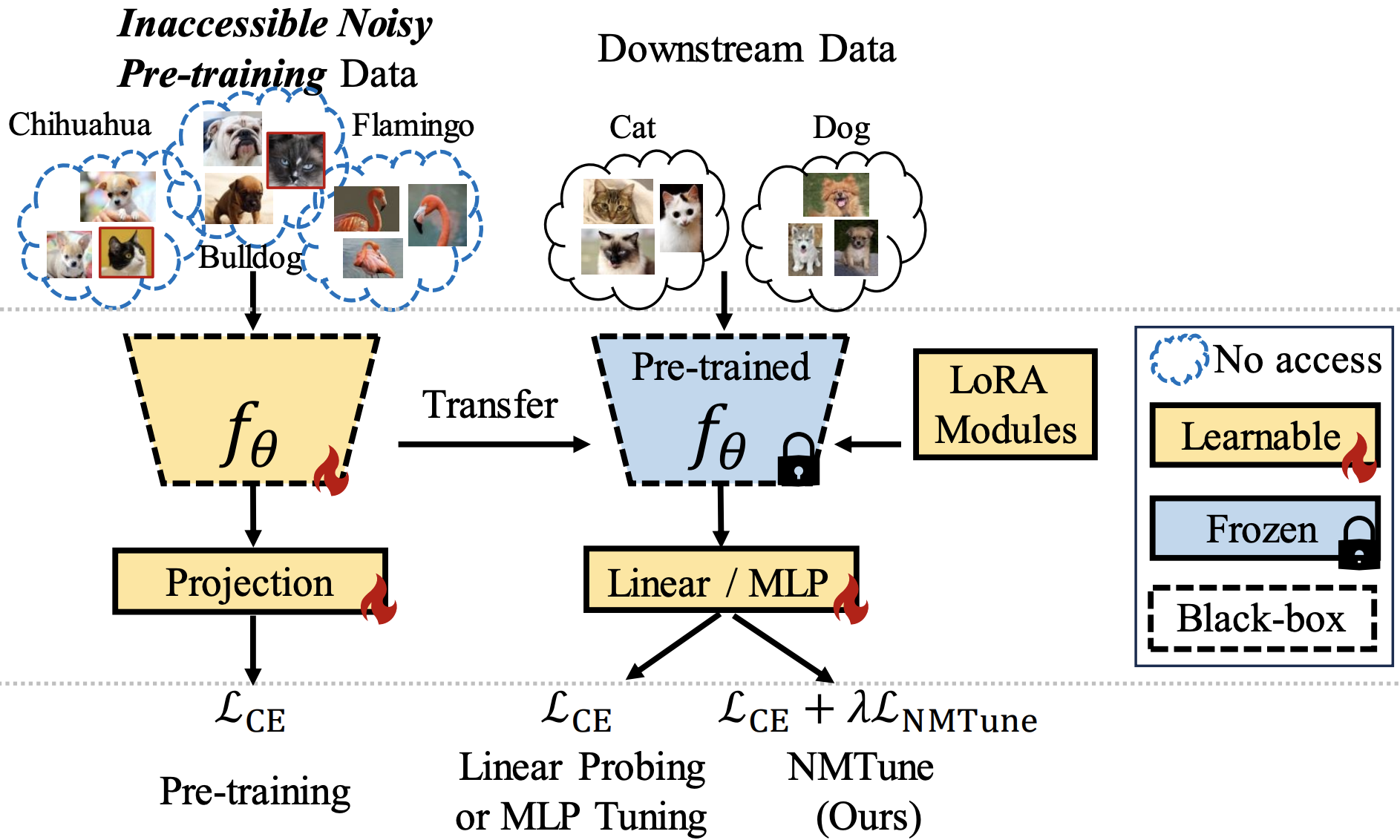 Learning with Noisy Foundation Models